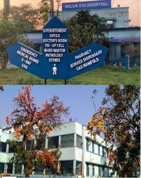 ESIS Hospital Belur